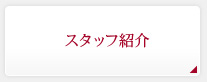 スタッフ紹介
