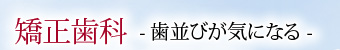 矯正歯科 -歯並びが気になる-